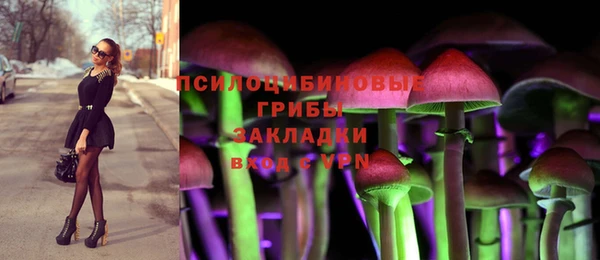 прущий лед Семёнов