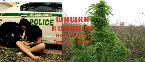 СК Абинск