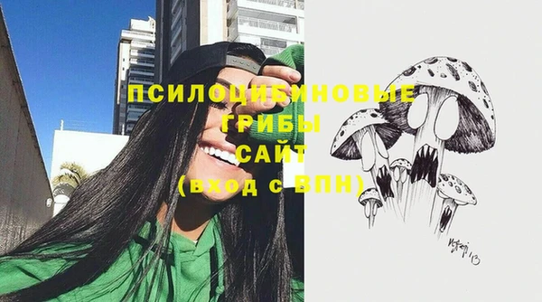 а пвп мука Абаза